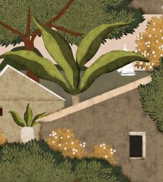 Nopolo Wallpaper by Coordonne Cactus Nopolo Wallpaper by Coordonne Cactus