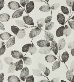 Northia Wallpaper by Clarke & Clarke Charcoal Northia Wallpaper by Clarke & Clarke Charcoal
