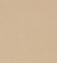 Nova FR Fabric by Kirkby Design Nougat Nova FR Fabric by Kirkby Design Nougat