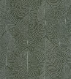 Nuance Wallpaper by Caselio Vert Irise Nuance Wallpaper by Caselio Vert Irise