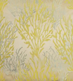 Obione Fabric by Casal Citrine Obione Fabric by Casal Citrine