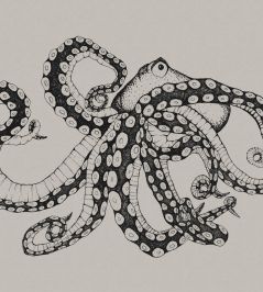 Octopus X-Ray Mural by Coordonne Ink Octopus X-Ray Mural by Coordonne Ink