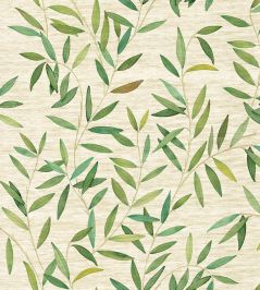 Oliveraie Grasscloth Wallpaper by Jannelli&Volpi Green/Sand Oliveraie Grasscloth Wallpaper by Jannelli&Volpi Green/Sand