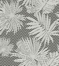 Ombre Wallpaper by Missoni Black Ombre Wallpaper by Missoni Black