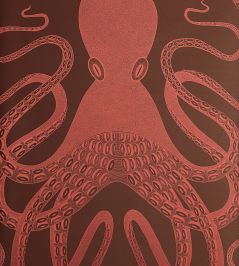 Ombre Octopus Wallpaper by MissPrint Ombre Coral Ombre Octopus Wallpaper by MissPrint Ombre Coral