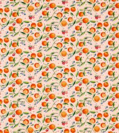 Orange Blossom Fabric by Clarke & Clarke Blush Orange Blossom Fabric by Clarke & Clarke Blush