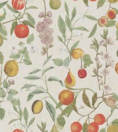 Orchard Fruits Wallpaper by Designers Guild Parchment Orchard Fruits Wallpaper by Designers Guild Parchment
