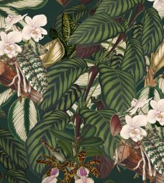 Orchid Bloom Fabric by MINDTHEGAP Brown Green Orchid Bloom Fabric by MINDTHEGAP Brown Green