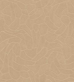 Organic Structure Wallpaper by Eijffinger Orange/Terracotta Organic Structure Wallpaper by Eijffinger Orange/Terracotta