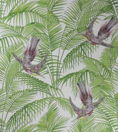 Sunbird Wallpaper by Matthew Williamson Ruby, Kiwi Sunbird Wallpaper by Matthew Williamson Ruby, Kiwi