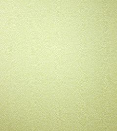 Oriole Wallpaper by Osborne & Little Pale Lime Oriole Wallpaper by Osborne & Little Pale Lime