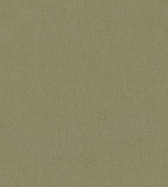 Oxford Fabric by Warwick Celery Oxford Fabric by Warwick Celery