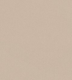 Oxford Fabric by Warwick Ecru Oxford Fabric by Warwick Ecru