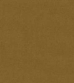 Oxford Fabric by Warwick Ochre Oxford Fabric by Warwick Ochre