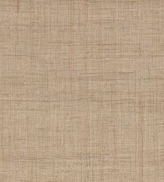 Palm Wallpaper by Mark Alexander Harvest Palm Wallpaper by Mark Alexander Harvest