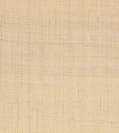 Palm Wallpaper by Mark Alexander Natural Palm Wallpaper by Mark Alexander Natural