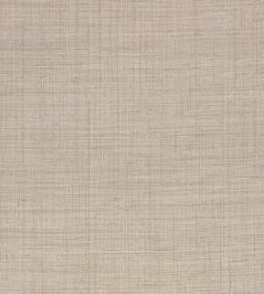 Palm Wallpaper by Mark Alexander Powder Palm Wallpaper by Mark Alexander Powder