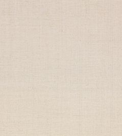 Palm Wallpaper by Mark Alexander Whitewash Palm Wallpaper by Mark Alexander Whitewash