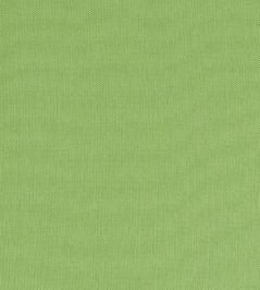 Palmer Fabric by Thibaut Kiwi Palmer Fabric by Thibaut Kiwi