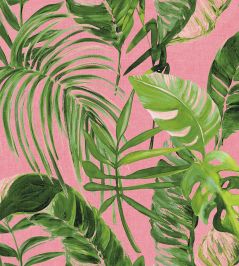 Palmera Wallpaper by Ohpopsi Fuchsia Palmera Wallpaper by Ohpopsi Fuchsia