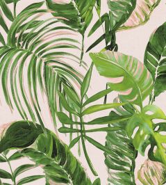 Palmera Wallpaper by Ohpopsi Verdant Palmera Wallpaper by Ohpopsi Verdant
