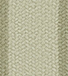 Palmeral Wallpaper by Coordonne Green Palmeral Wallpaper by Coordonne Green
