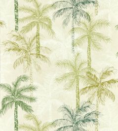 Palmyra Wallpaper by Clarke & Clarke Palm Palmyra Wallpaper by Clarke & Clarke Palm