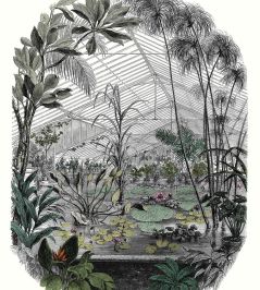 Jardin D'hiver Mural by Caselio Multicouleurs Jardin D'hiver Mural by Caselio Multicouleurs