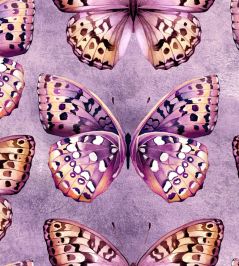 Papilio Wallpaper by Avalana Lilac Papilio Wallpaper by Avalana Lilac