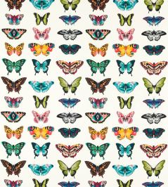Papilio Outdoor Fabric by Harlequin Flamingo/Papaya/Loganberry Papilio Outdoor Fabric by Harlequin Flamingo/Papaya/Loganberry