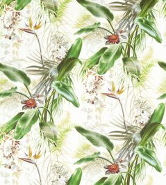 Paradise Row Wallpaper by Zoffany Evergreen Paradise Row Wallpaper by Zoffany Evergreen