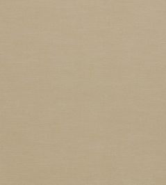 Paradiso Fabric by Clarke & Clarke Buff Paradiso Fabric by Clarke & Clarke Buff