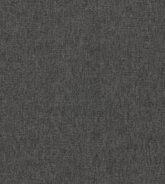 Paradiso Fabric by Clarke & Clarke Charcoal Paradiso Fabric by Clarke & Clarke Charcoal