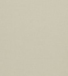 Paradiso Fabric by Clarke & Clarke Ivory Paradiso Fabric by Clarke & Clarke Ivory