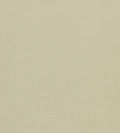 Paradiso Fabric by Clarke & Clarke Natural Paradiso Fabric by Clarke & Clarke Natural