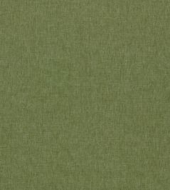 Paradiso Fabric by Clarke & Clarke Olive Paradiso Fabric by Clarke & Clarke Olive
