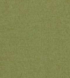 Paradiso Fabric by Clarke & Clarke Palm Paradiso Fabric by Clarke & Clarke Palm