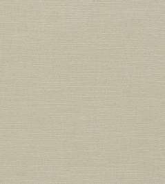 Paradiso Fabric by Clarke & Clarke Pebble Paradiso Fabric by Clarke & Clarke Pebble