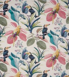 Parakeet Fabric by Prestigious Textiles Seashell Parakeet Fabric by Prestigious Textiles Seashell