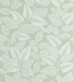 Paraty Wallpaper by Casadeco Vert Celadon Paraty Wallpaper by Casadeco Vert Celadon