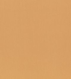 Paraty Fabric by Zinc Camel Paraty Fabric by Zinc Camel