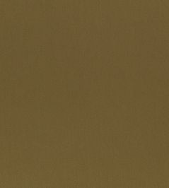 Paraty Fabric by Zinc Moss Paraty Fabric by Zinc Moss
