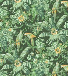 Parrot Talk Wallpaper by Woodchip & Magnolia Lush Green Parrot Talk Wallpaper by Woodchip & Magnolia Lush Green