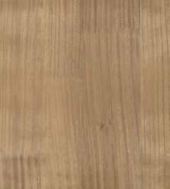 Paulownia Wallpaper by Zinc Tobacco Paulownia Wallpaper by Zinc Tobacco