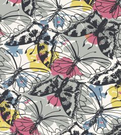 Paxton Wallpaper by Anna French Multi Paxton Wallpaper by Anna French Multi