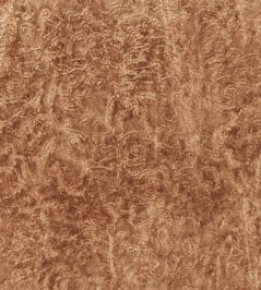 Penwith Fabric by Designers Guild Copper Penwith Fabric by Designers Guild Copper