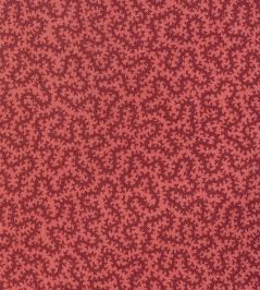 Petra Fabric by Ian Sanderson Raspberry Petra Fabric by Ian Sanderson Raspberry