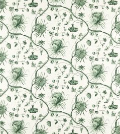 Phaedra Toile Fabric by Zoffany Huntsmans Green Phaedra Toile Fabric by Zoffany Huntsmans Green