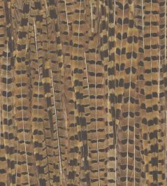 Pheasant Wallpaper by Woodchip & Magnolia Brown Pheasant Wallpaper by Woodchip & Magnolia Brown