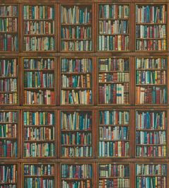 Philosopher Wallpaper by Andrew Martin Brown Philosopher Wallpaper by Andrew Martin Brown